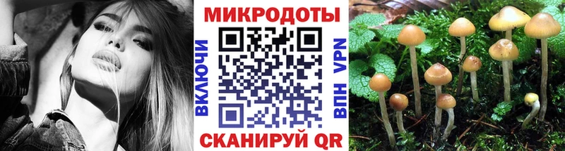 Псилоцибиновые грибы Cubensis  Пыть-Ях 