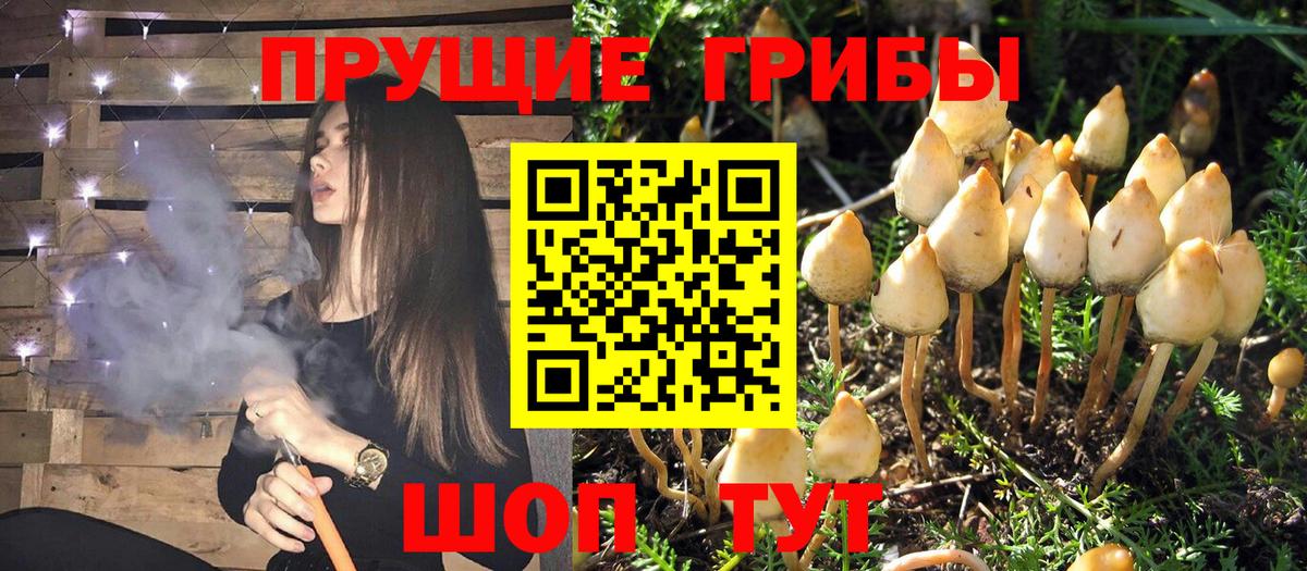 Пыть-Ях  цена наркотик  Вход с VPN  Галлюциногенные грибы MAGIC MUSHROOMS 